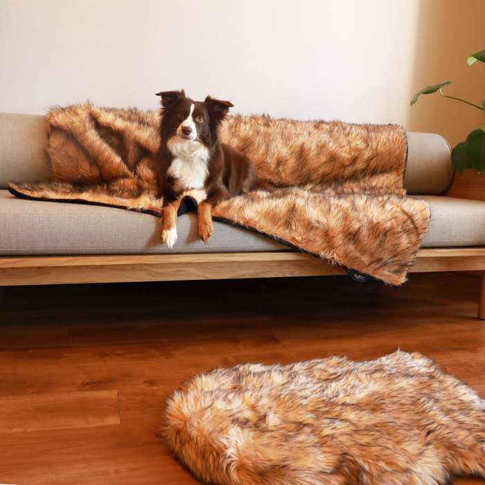 Small Bed - 30" x 20" & Large Blanket - 80"L x 62"W