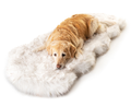PupRug® Runner Faux Fur Memory Foam Dog Bed Cover - Curve White with Brown Accents (Bed Not Included)
