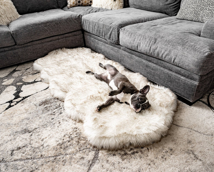 PupRug® Runner Faux Fur Memory Foam Dog Bed Cover - Curve White with Brown Accents (Bed Not Included)