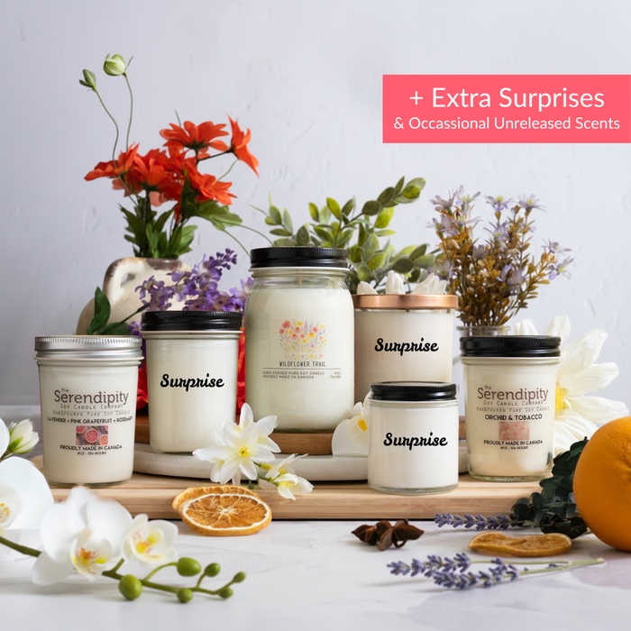 Serendipity Discovery Box