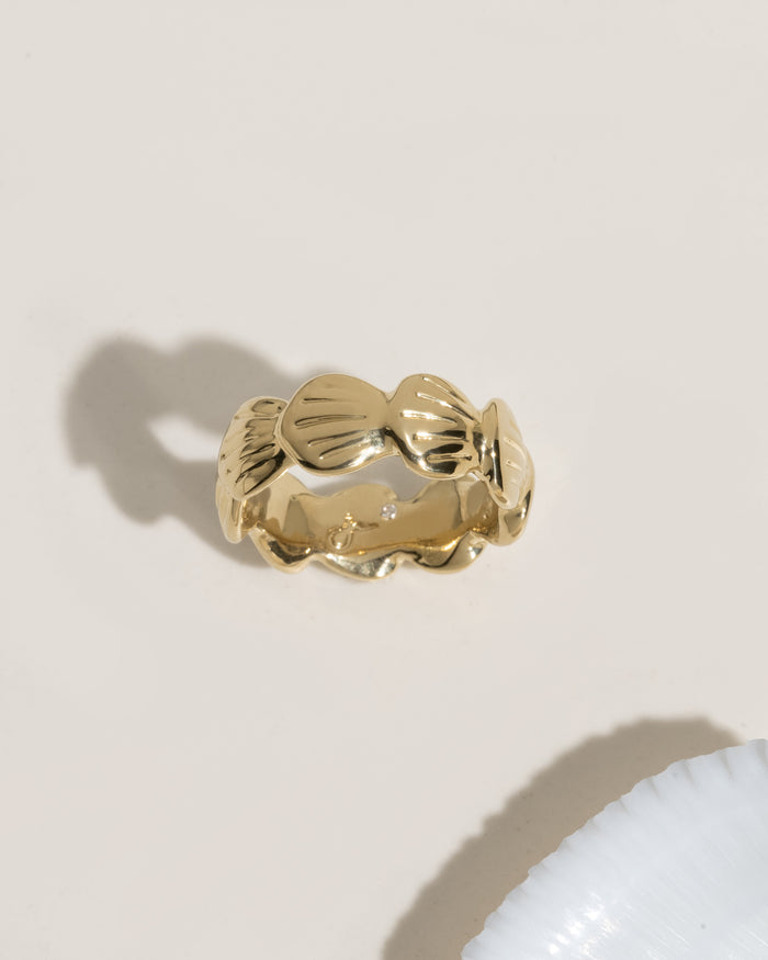 Shell Ring