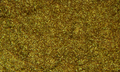 SKITZO PEARL <br />Finkster Green