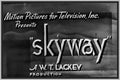 SKYWAY - 1933 - RAY WALKER - RARE DVD