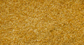 SOLID PEARL <br />Gambino Gold