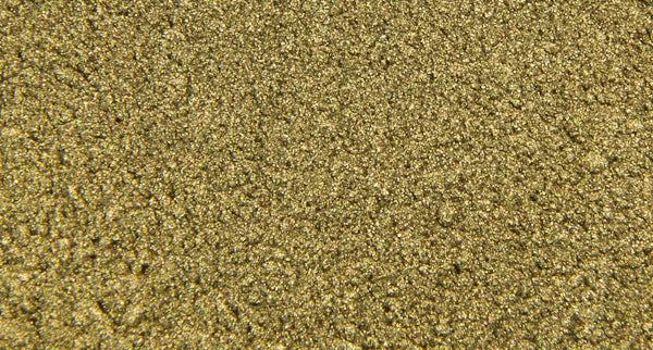 SOLID PEARL <br />Texas T