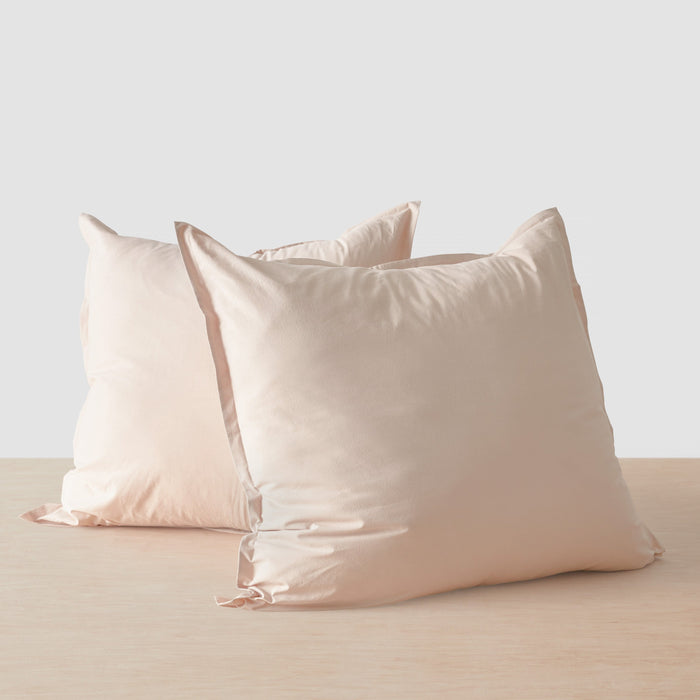Blush / Single Sham