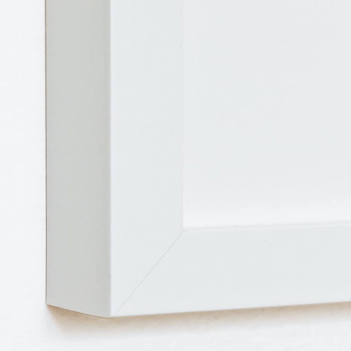 white-frame