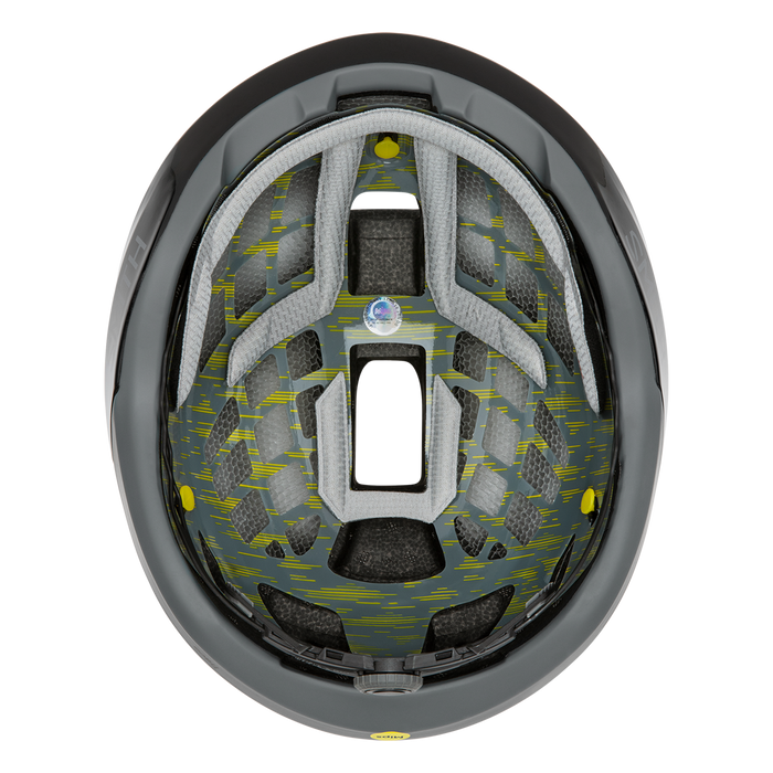 Trace Mips® - Past Season