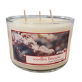 Winter Berries- TWO wick