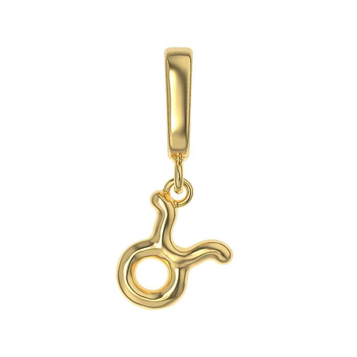 Zodiac Charms