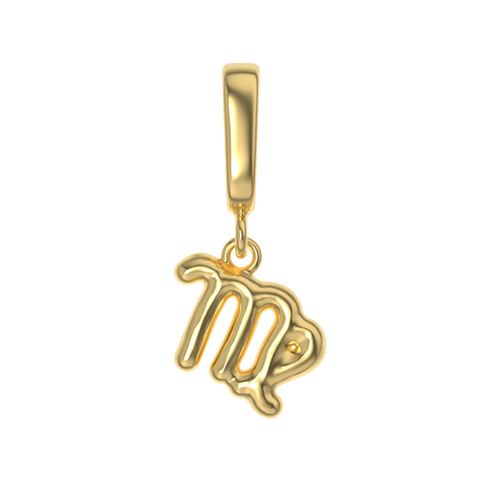 Zodiac Charms